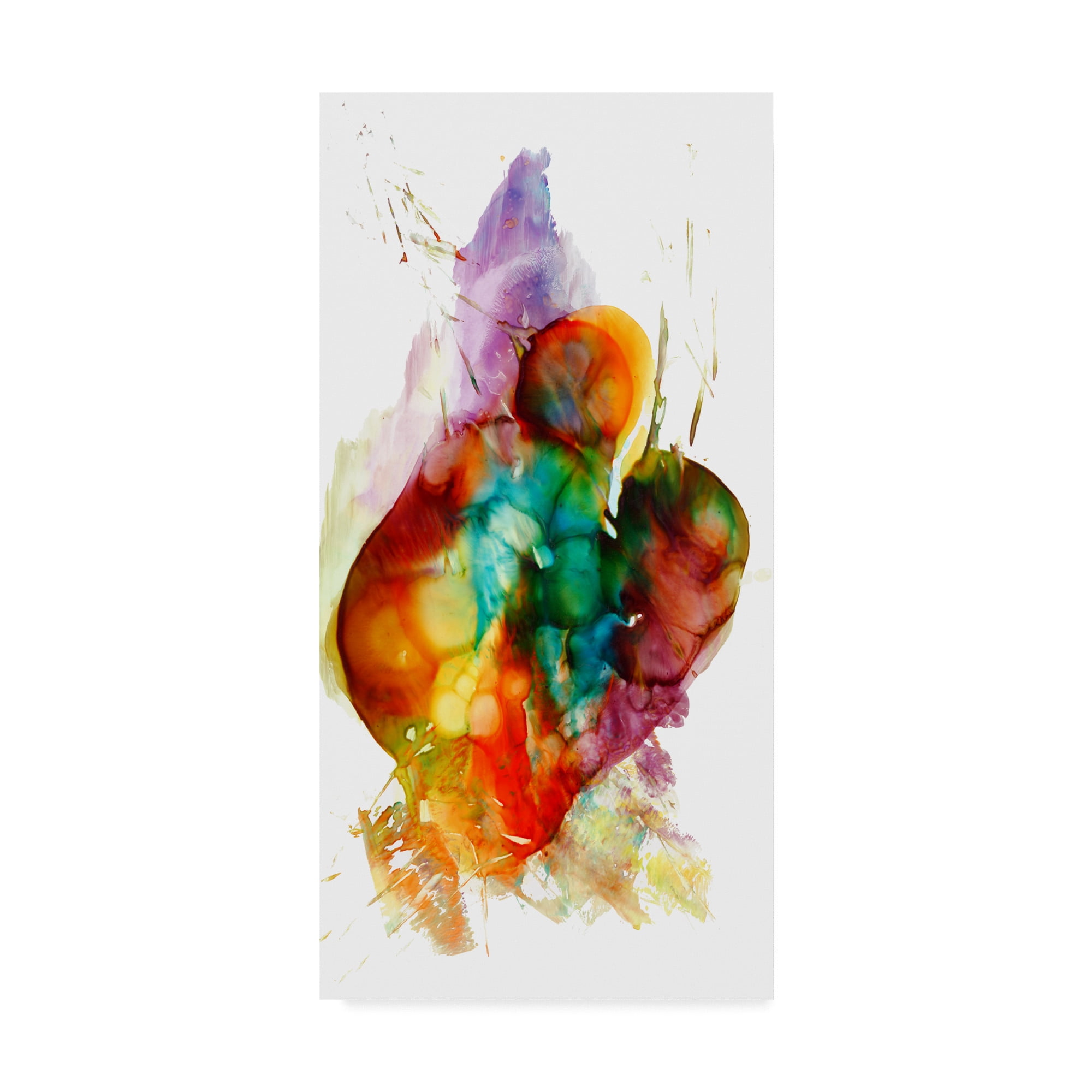 Trademark Fine Art 'Abstract number 14' Canvas Art by Masters Fine Art