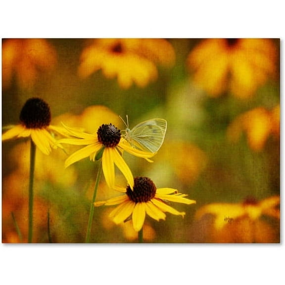 Trademark Fine Art "Abundance" Canvas Art by Lois Bryan