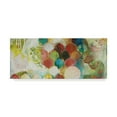 thumbnail image 1 of Trademark Fine Art 'Abundance I' Canvas Art by Heather Robinson, 1 of 4