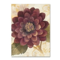 Trademark Fine Art 'Abundant Floral II Crop' Canvas Art by Albena Hristova