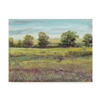 Trademark Fine Art 'Abundant Spring I' Canvas Art by Tim OToole