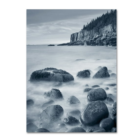 Trademark Fine Art 'Acadia Coast Crop' Canvas Art by Alan Majchrowicz