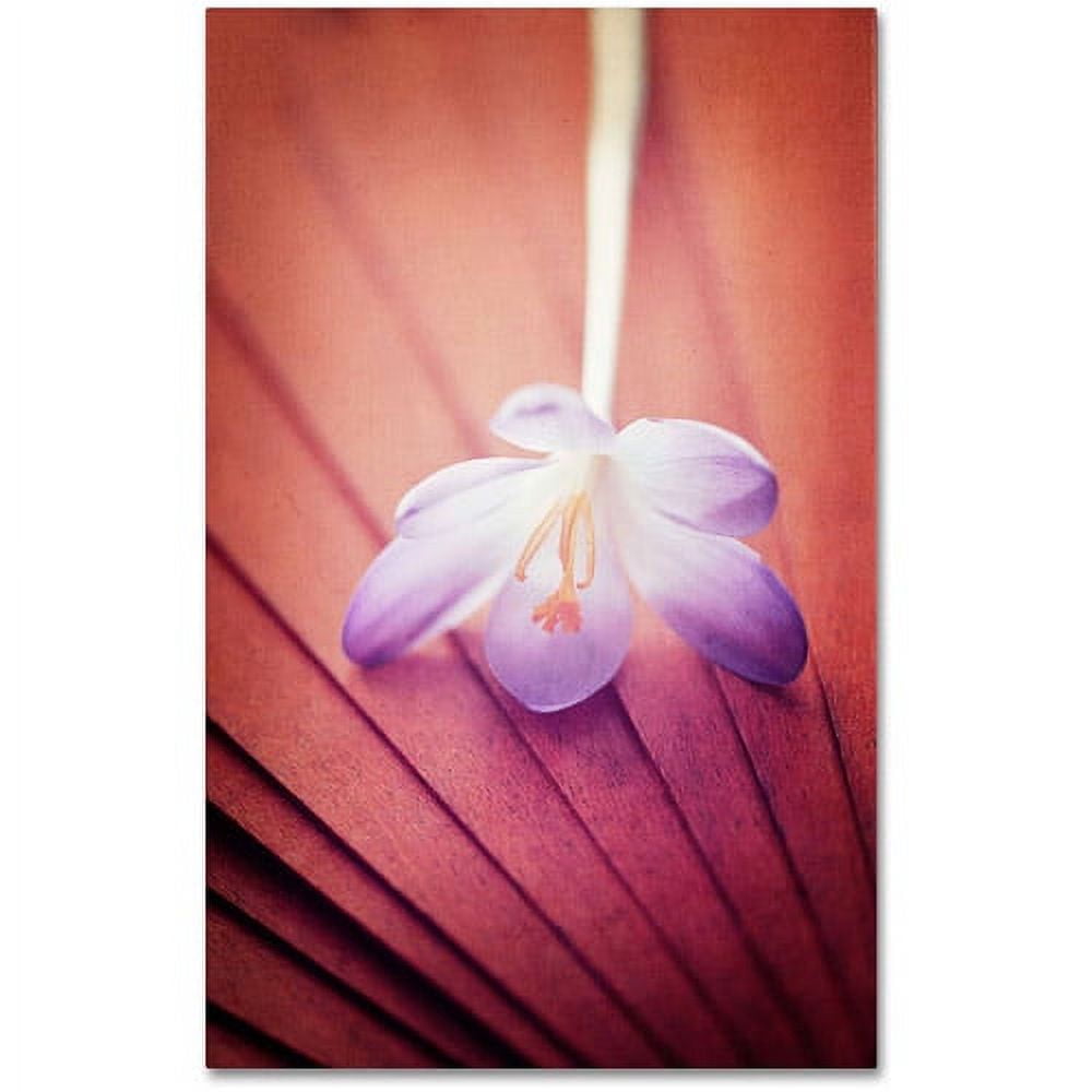 Trademark Fine Art "Access to Desires" Canvas Art by Philippe Sainte-Laudy