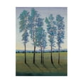 thumbnail image 1 of Trademark Fine Art 'Acreage II' Canvas Art by Tim OToole, 1 of 4
