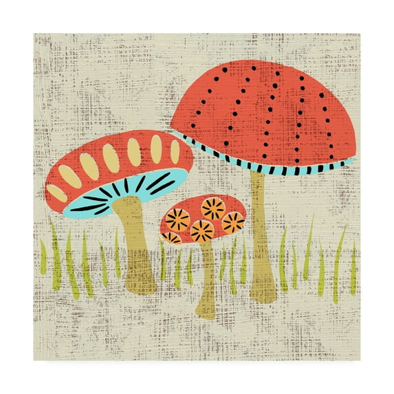 Trademark Fine Art 'Adas Mushrooms' Canvas Art by Chariklia Zarris
