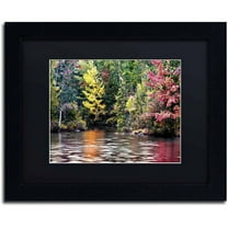 Trademark Fine Art "Adirondacks" Canvas Art by David Ayash, Black Matte, Black Frame