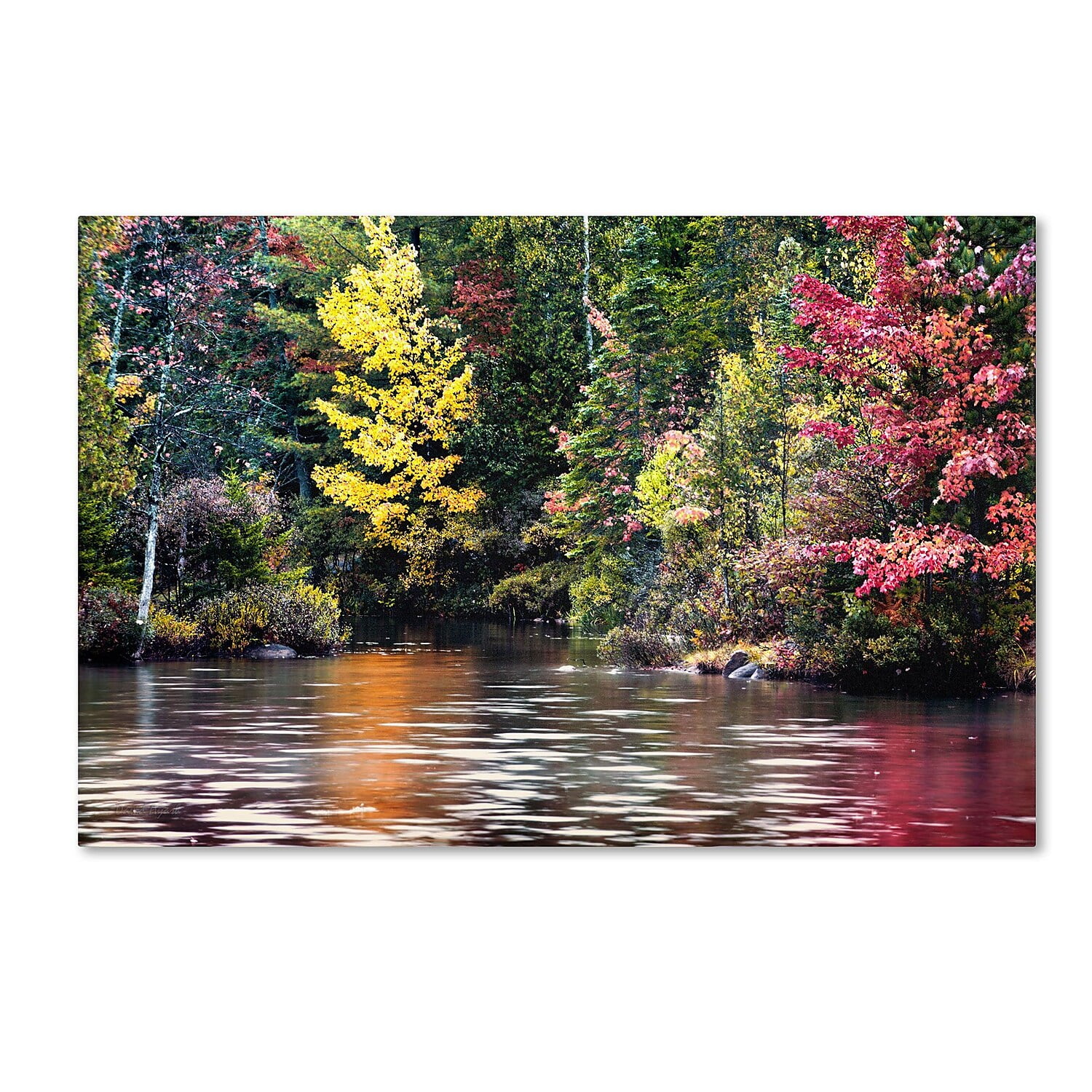 Trademark Fine Art "Adirondacks" Canvas Art by David Ayash
