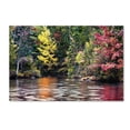 thumbnail image 1 of Trademark Fine Art "Adirondacks" Canvas Art by David Ayash, 1 of 1