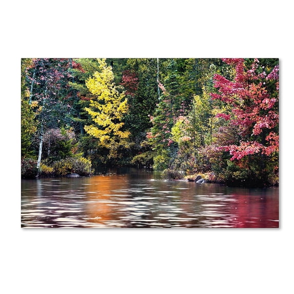 Trademark Fine Art "Adirondacks" Canvas Art by David Ayash