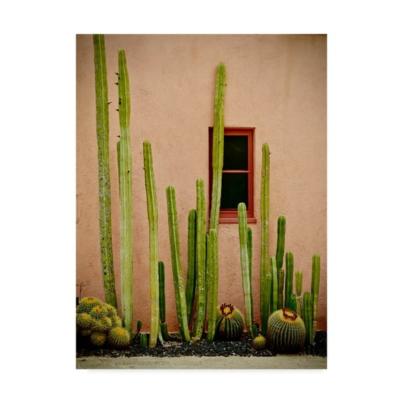 Trademark Fine Art 'Adobe Cactus' Canvas Art by American School