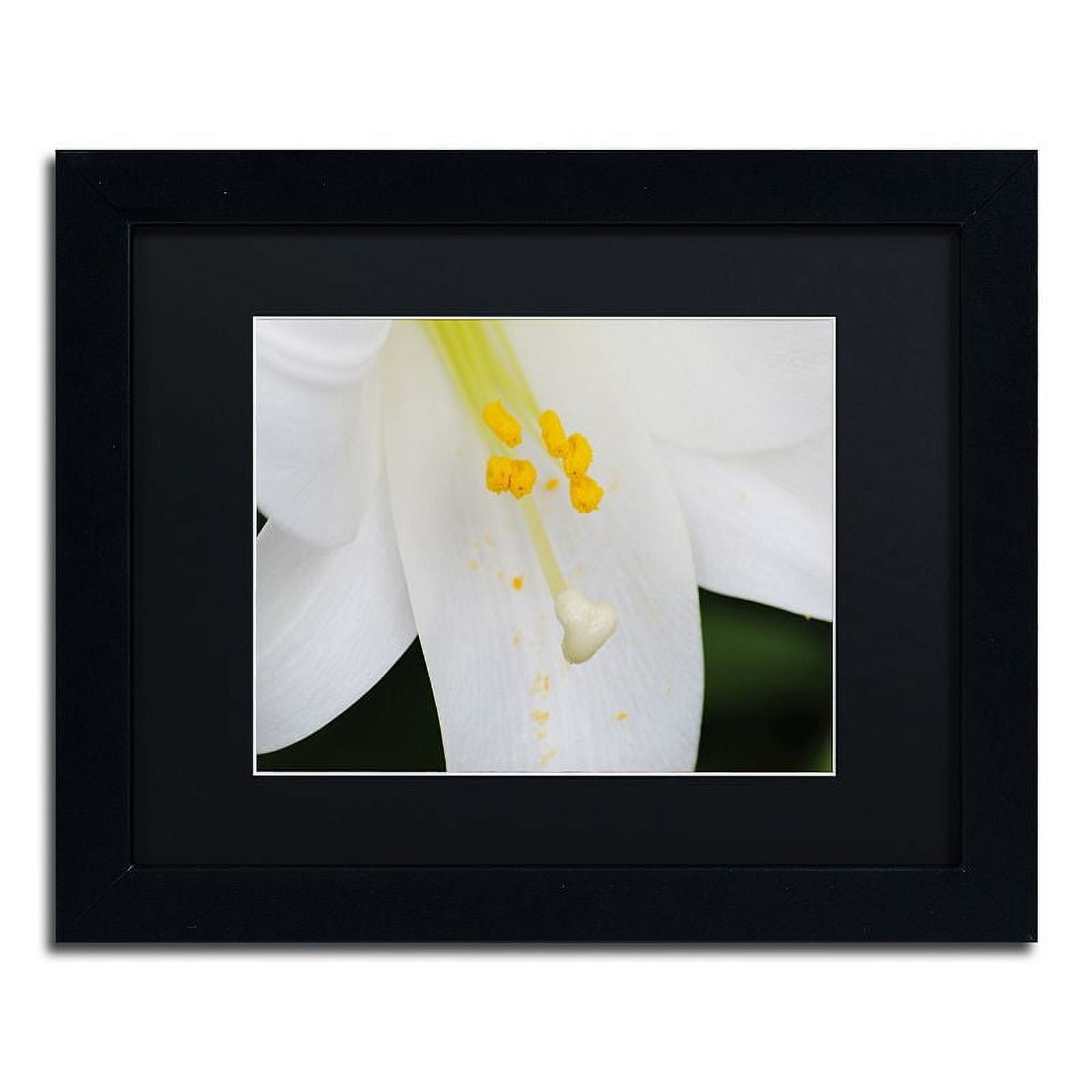 Trademark Fine Art "Adore You" Canvas Art by Monica Mize, Black Matte, Black Frame