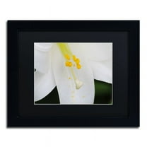 Trademark Fine Art "Adore You" Canvas Art by Monica Mize, Black Matte, Black Frame