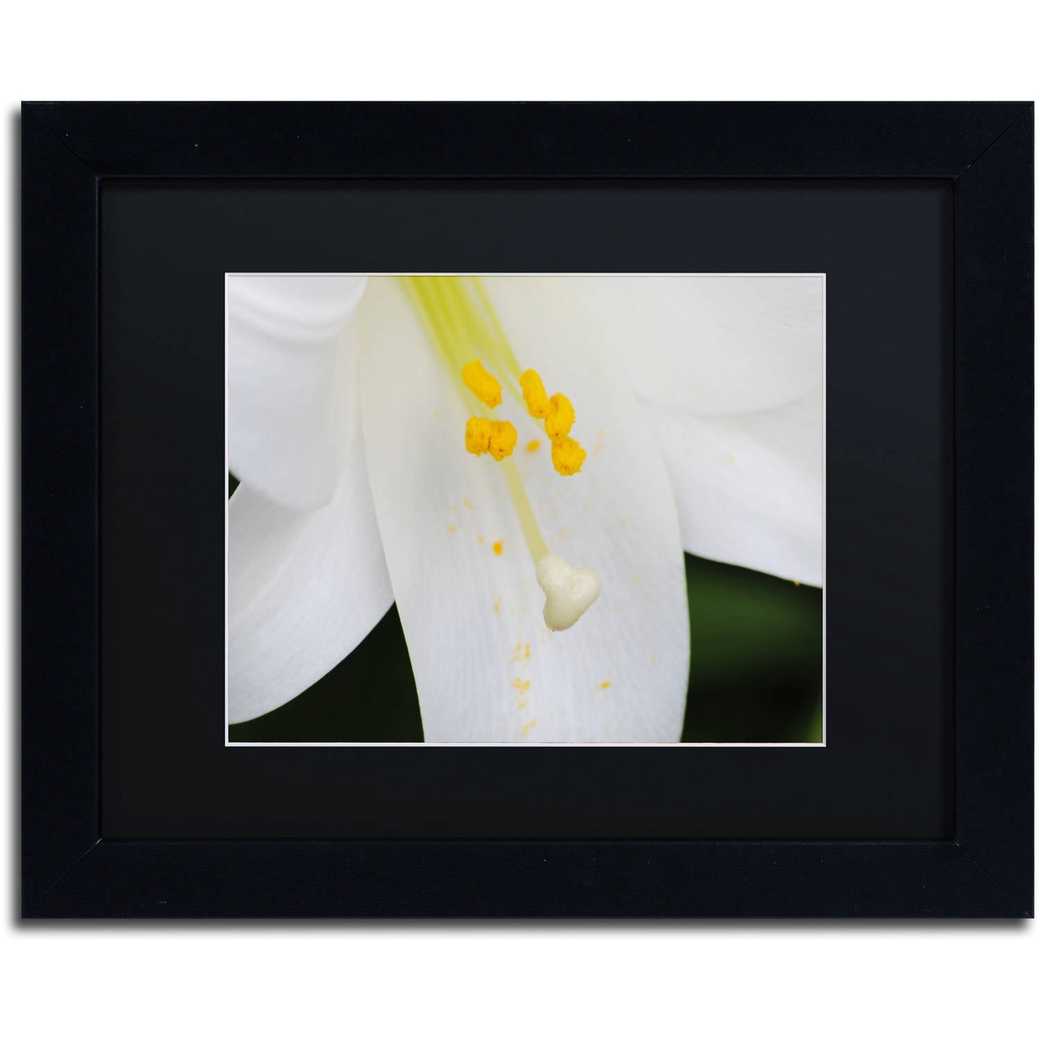 Trademark Fine Art "Adore You" Canvas Art by Monica Mize, Black Matte, Black Frame