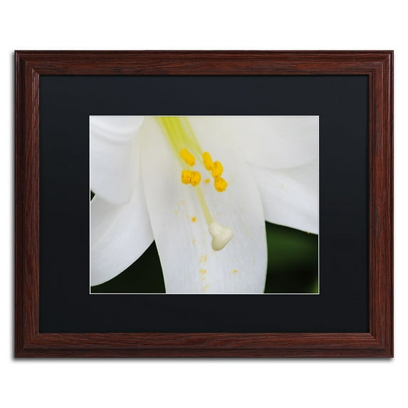 Trademark Fine Art "Adore You" Canvas Art by Monica Mize, Black Matte, Wood Frame