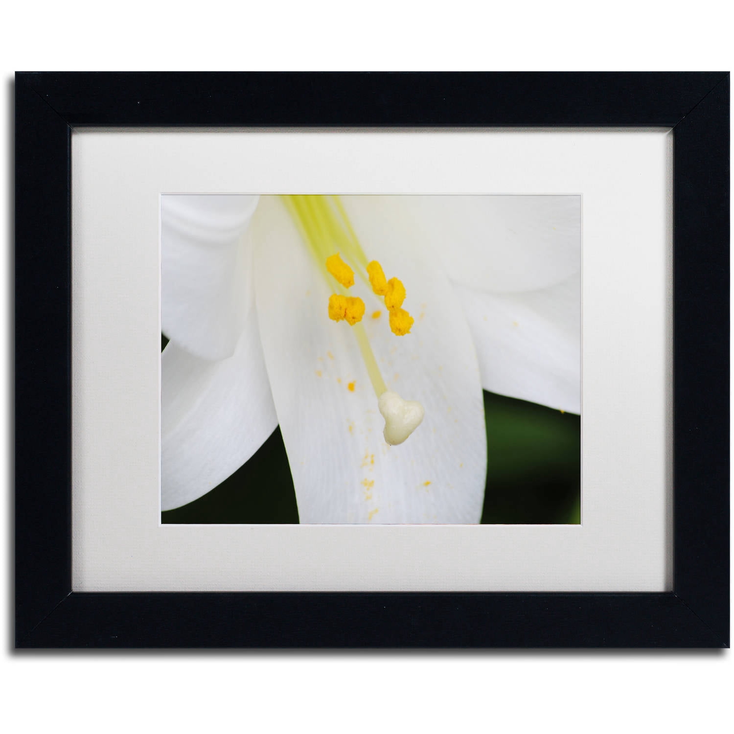 Trademark Fine Art "Adore You" Canvas Art by Monica Mize, White Matte, Black Frame