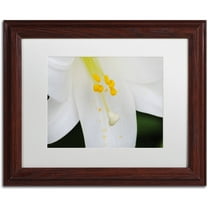 Trademark Fine Art "Adore You" Canvas Art by Monica Mize, White Matte, Wood Frame