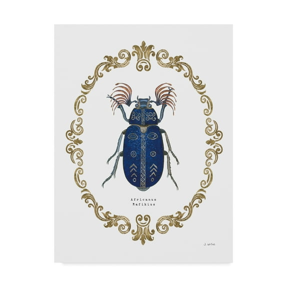 Trademark Fine Art 'Adorning Coleoptera III' Canvas Art by James Wiens
