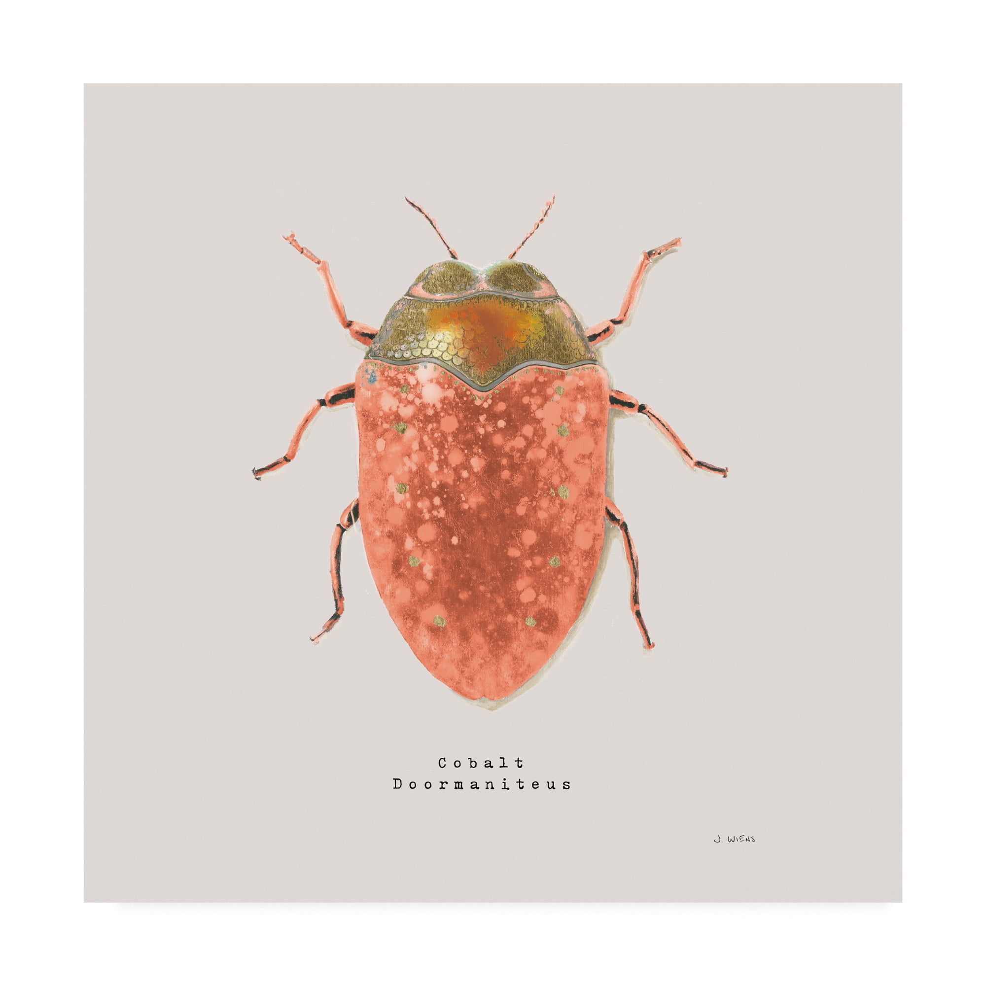Trademark Fine Art 'Adorning Coleoptera V Sq Camelia' Canvas Art by James Wiens