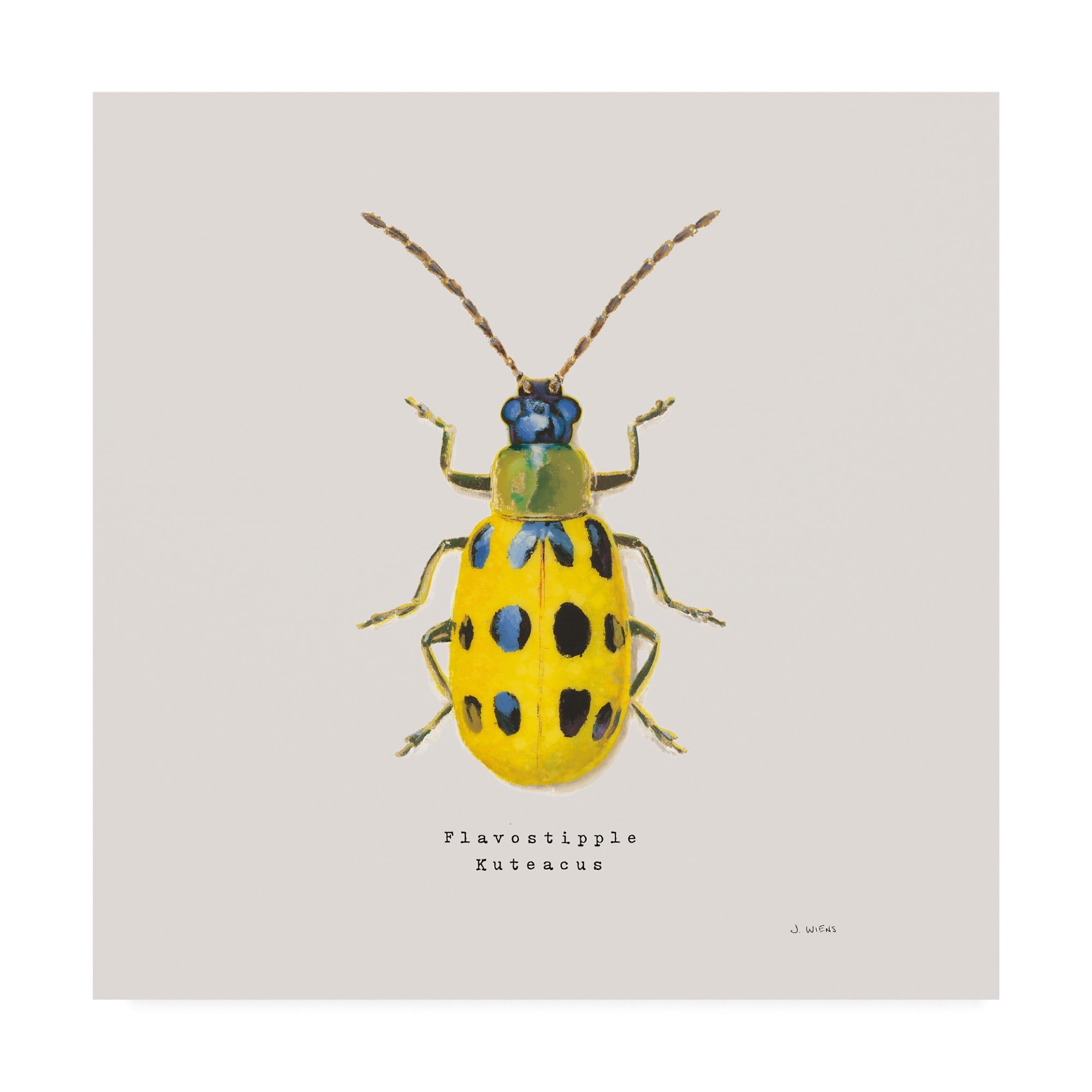 Trademark Fine Art 'Adorning Coleoptera VII Sq Golden' Canvas Art by James Wiens