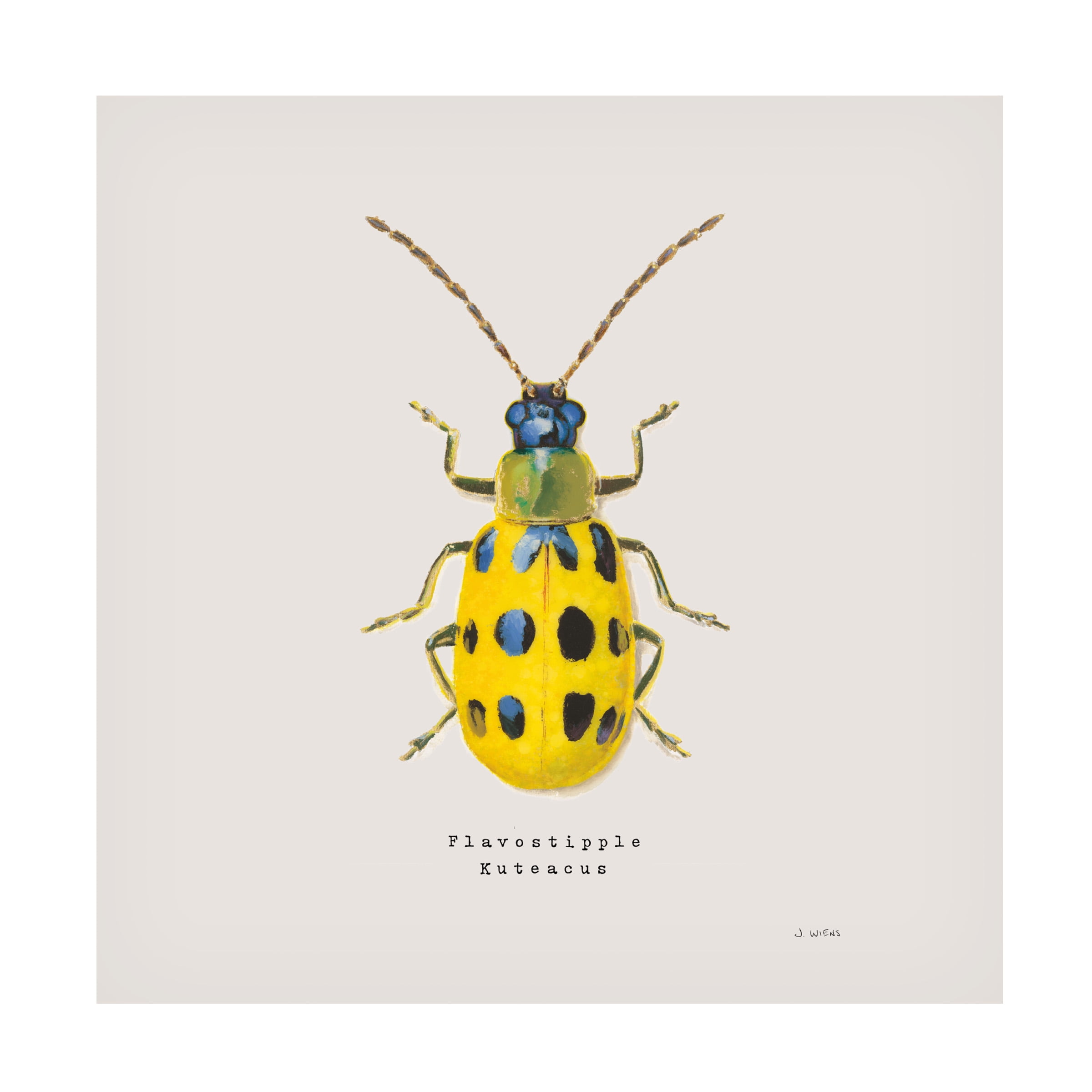 Trademark Fine Art 'Adorning Coleoptera VII Sq Golden' Canvas Art by James Wiens