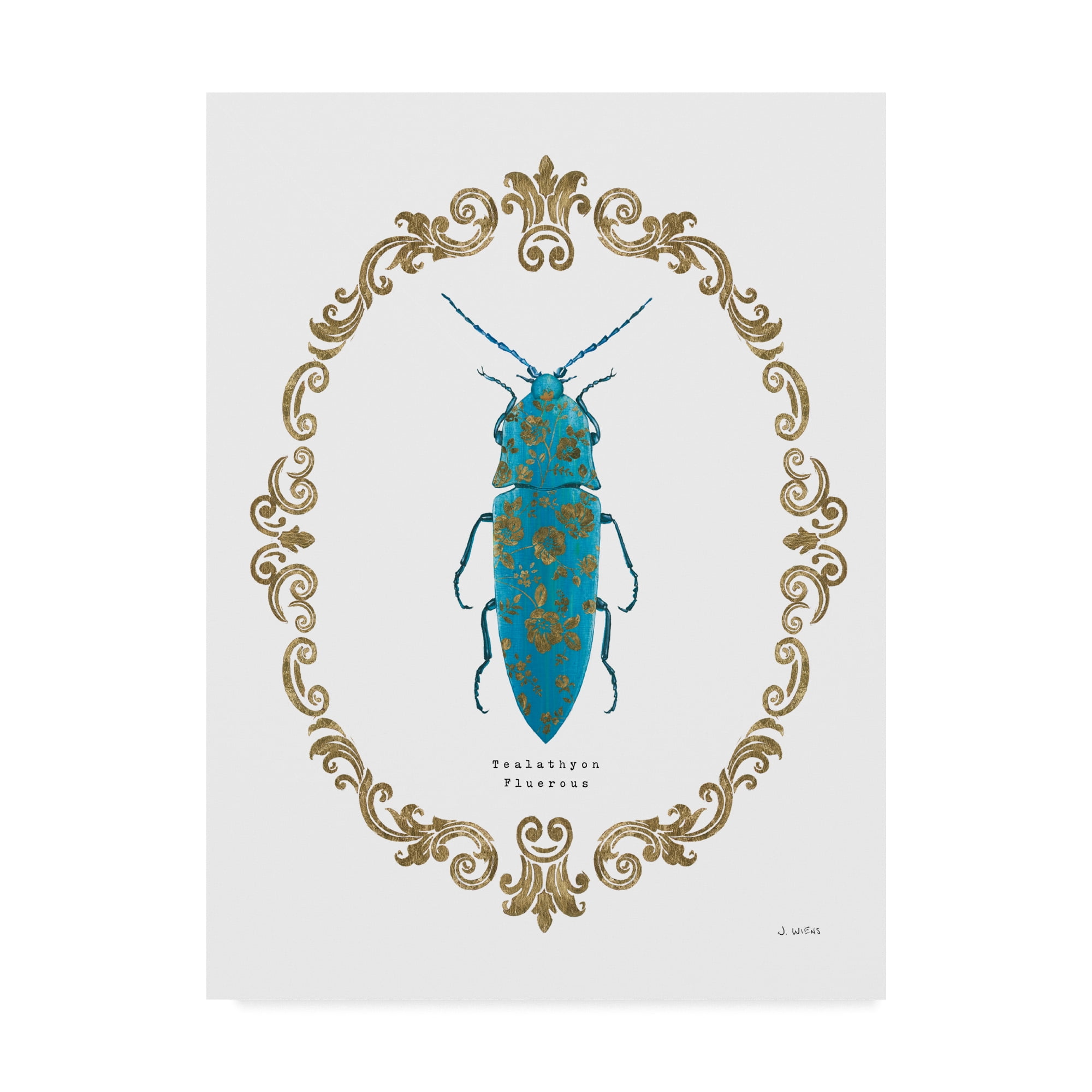 Trademark Fine Art 'Adorning Coleoptera VIII' Canvas Art by James