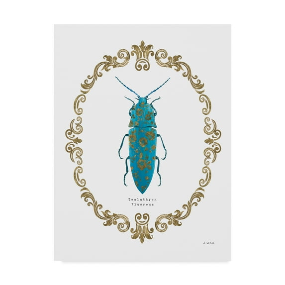 Trademark Fine Art 'Adorning Coleoptera VIII' Canvas Art by James Wiens