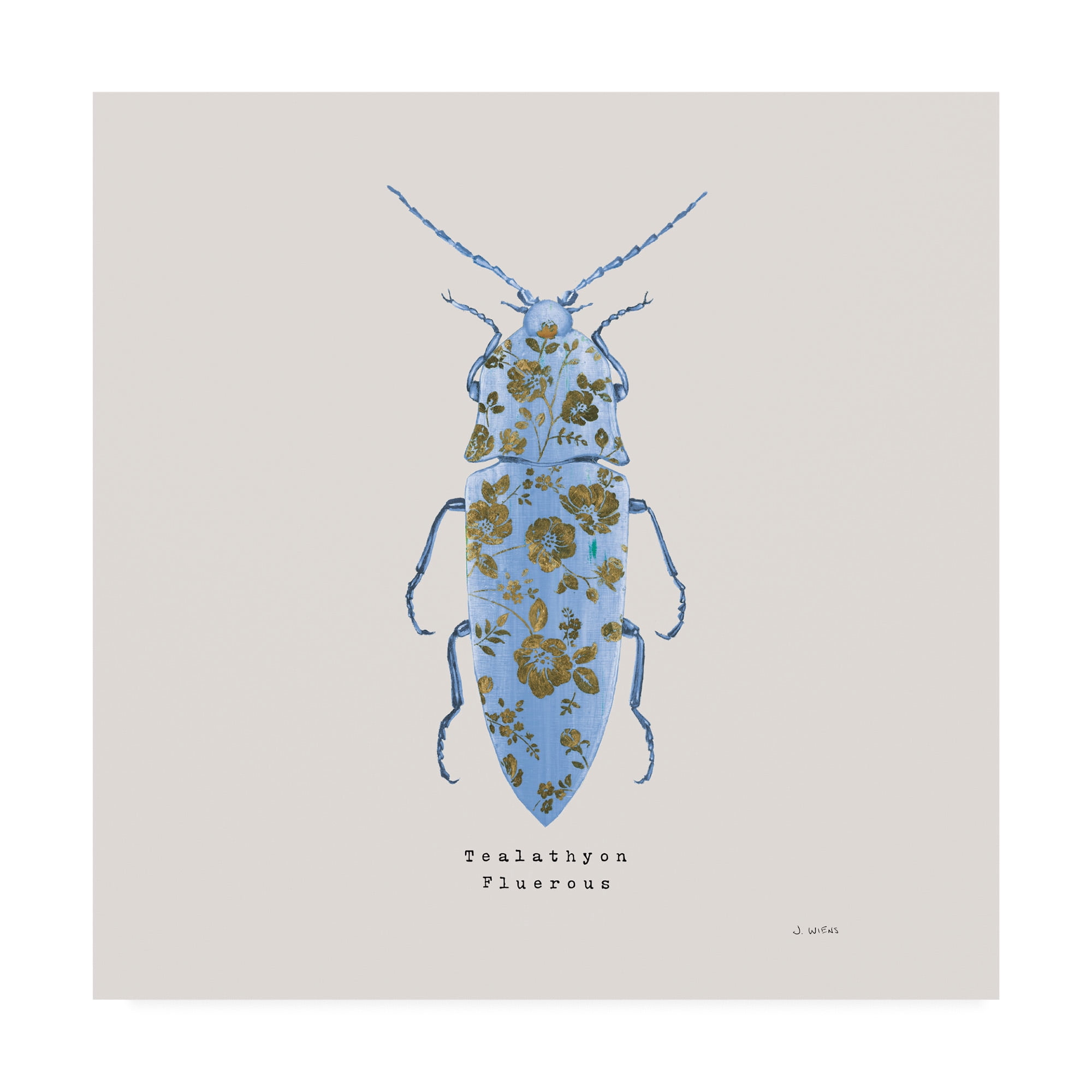 Trademark Fine Art 'Adorning Coleoptera VIII Sq Blue' Canvas Art by James Wiens