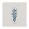 thumbnail image 1 of Trademark Fine Art 'Adorning Coleoptera VIII Sq Blue' Canvas Art by James Wiens, 1 of 3