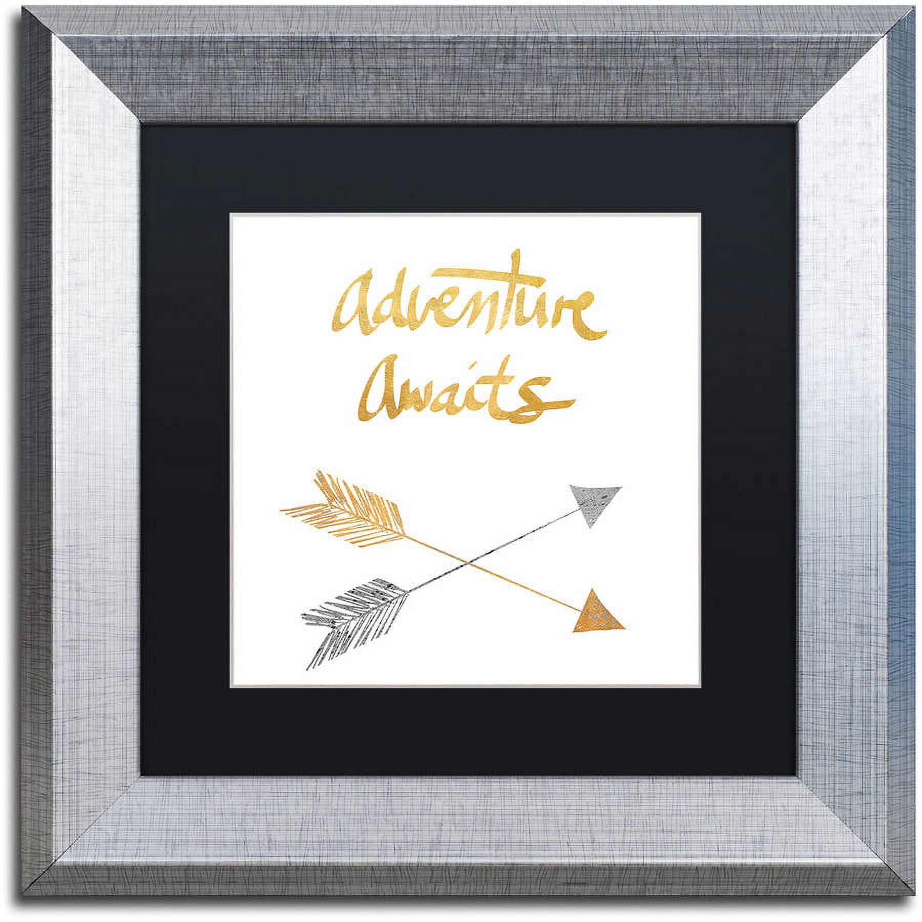 Trademark Fine Art "Adventure Arrows" Canvas Art by Lisa Powell Braun, Black Matte, Silver Frame