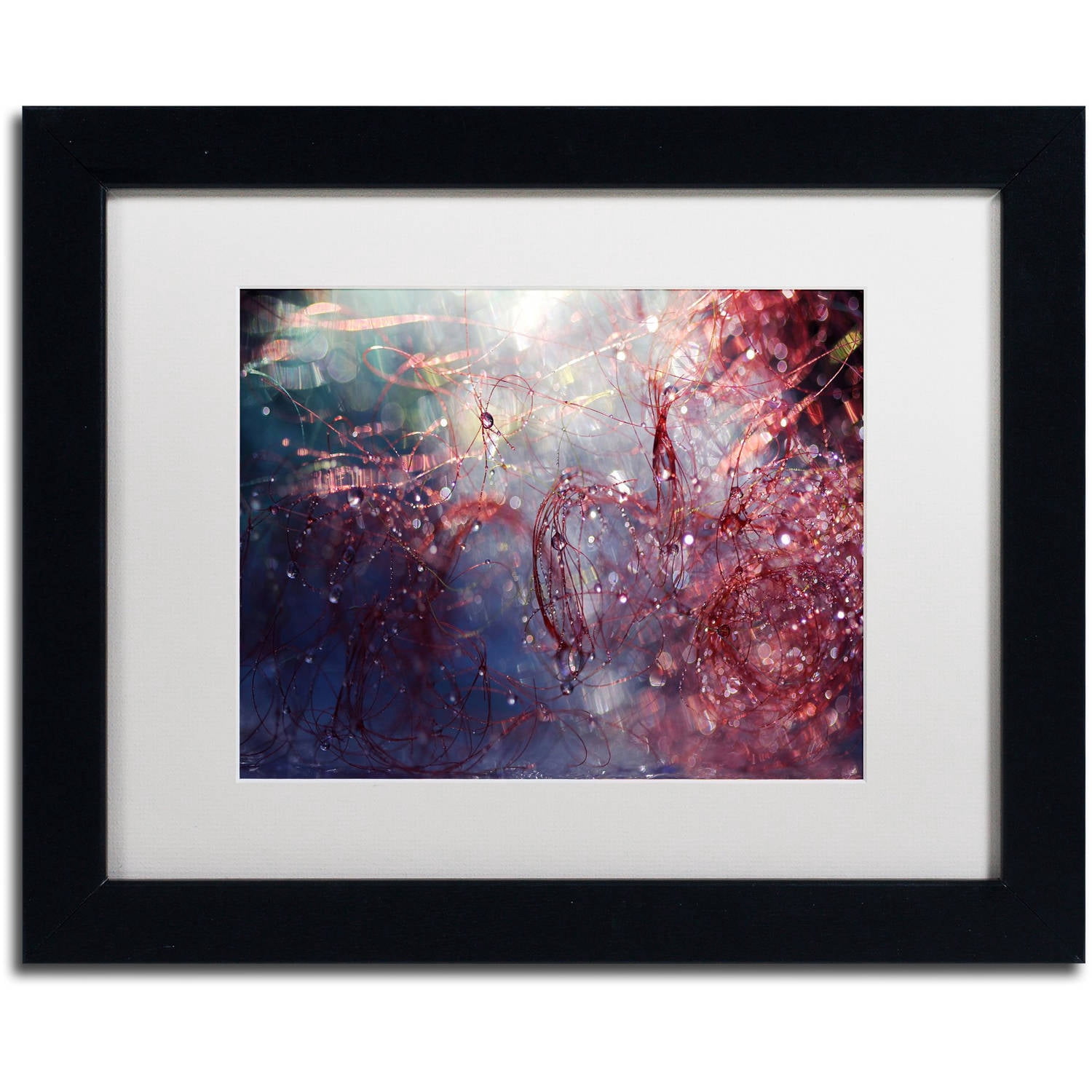 Trademark Fine Art "Adventures of Red" Canvas Art by Beata Czyzowska Young, White Matte, Black Frame