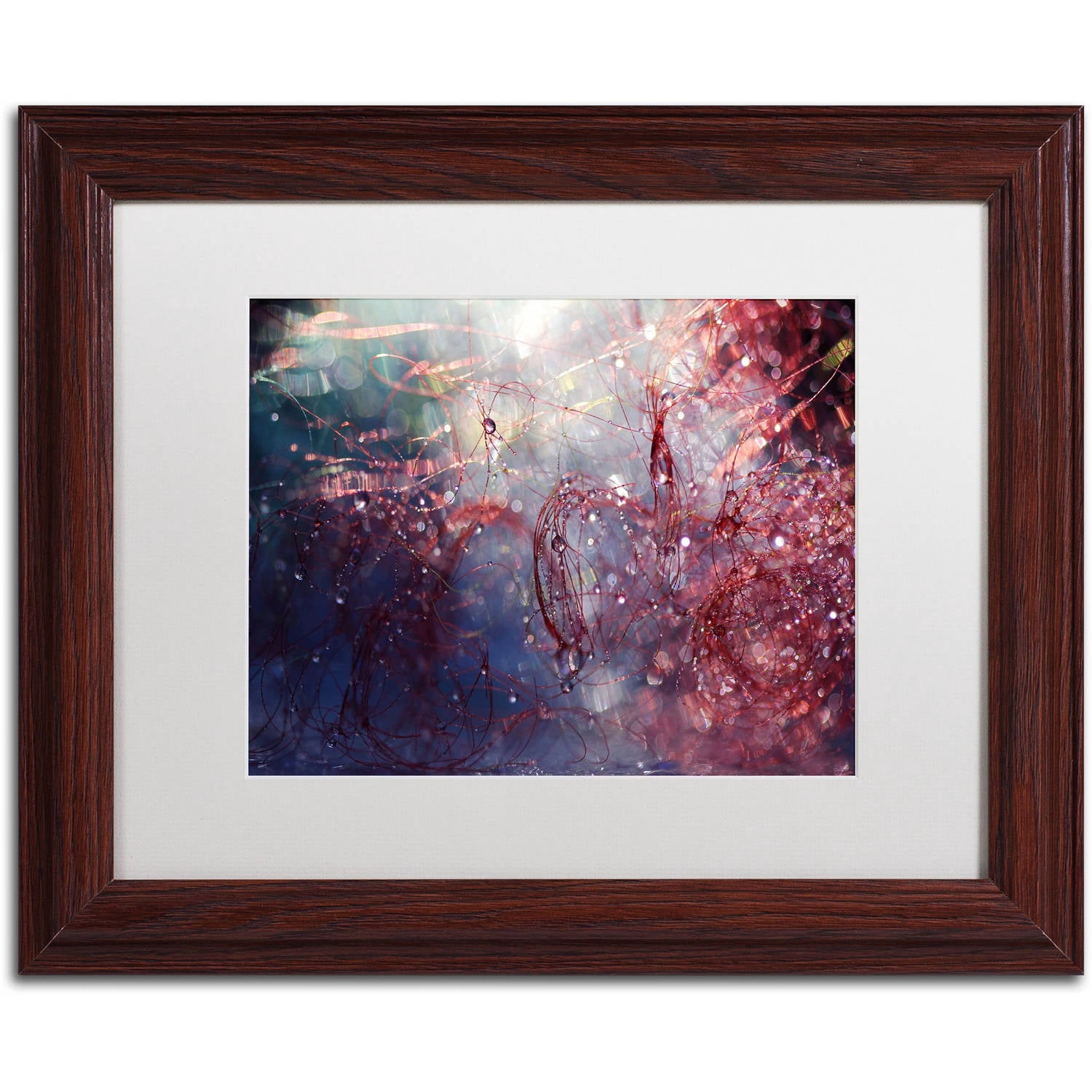 Trademark Fine Art "Adventures of Red" Canvas Art by Beata Czyzowska Young, White Matte, Wood Frame