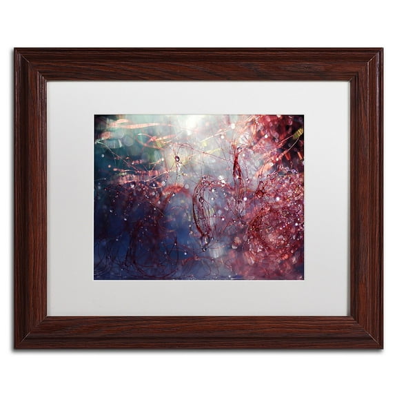 Trademark Fine Art "Adventures of Red" Canvas Art by Beata Czyzowska Young, White Matte, Wood Frame