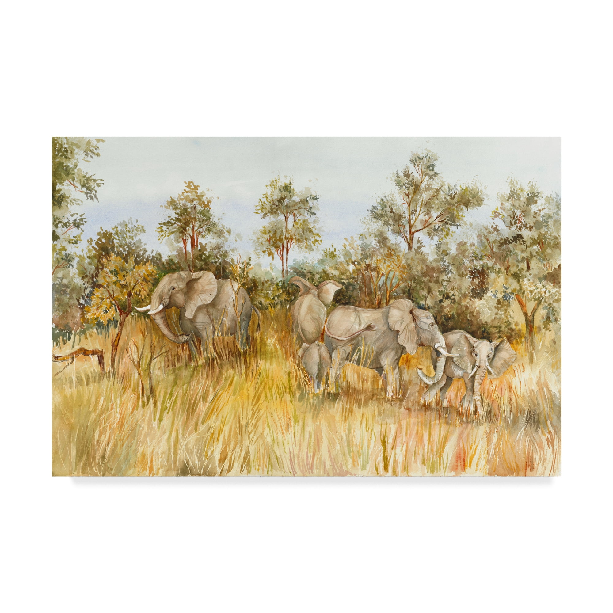 Trademark Fine Art 'African Elephant' Canvas Art by Joanne Porter