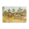 thumbnail image 1 of Trademark Fine Art 'African Elephant' Canvas Art by Joanne Porter, 1 of 3