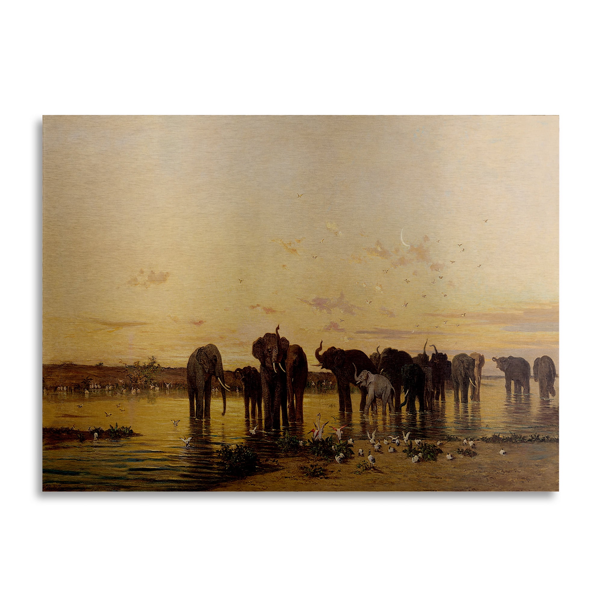 Trademark Fine Art 'African Elephants' Brushed Aluminum Wall Art Art by Charles Emile de Tournemine