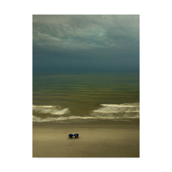 Trademark Fine Art 'After The Storm Clouds' Canvas Art by Natalie Mikaels