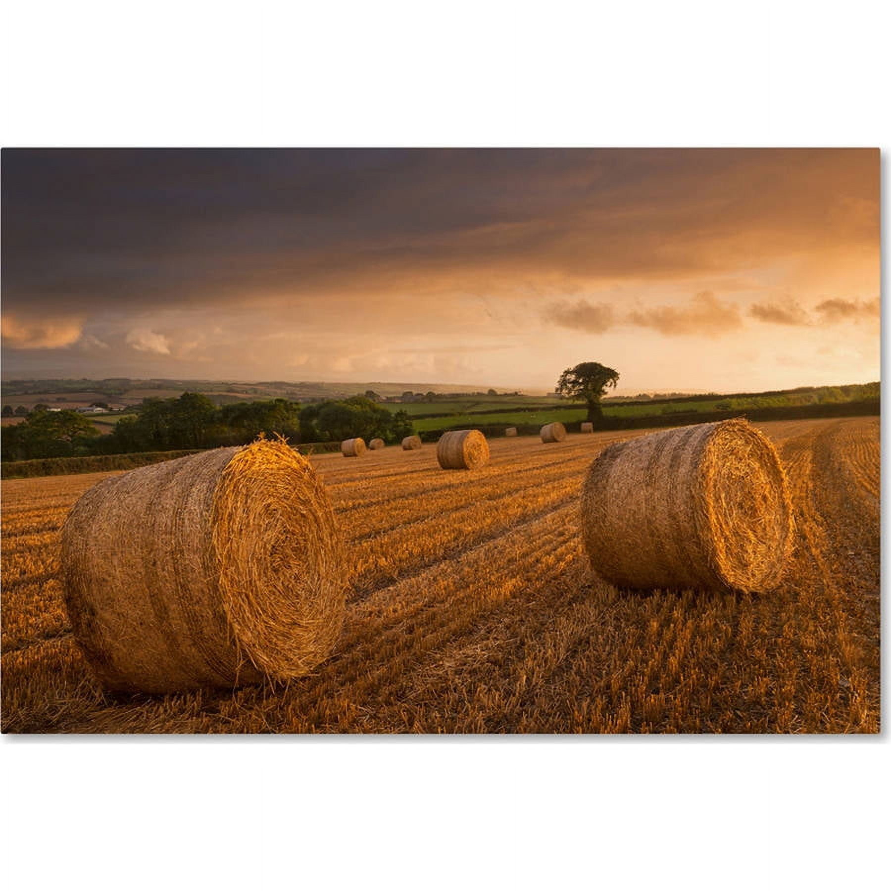 After the Rain Landscape Canvas Art in Warm Tones