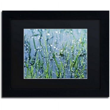 Trademark Fine Art "After the Rain" Canvas Art by Beata Czyzowska Young, Black Matte, Black Frame