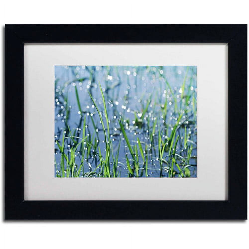 Trademark Fine Art "After the Rain" Canvas Art by Beata Czyzowska Young, White Matte, Black Frame