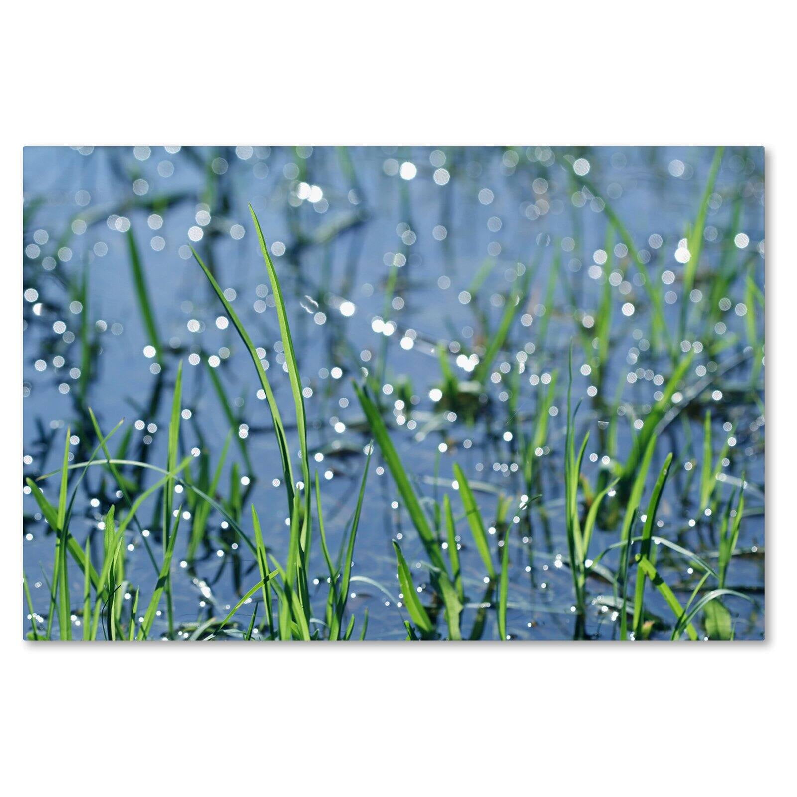 After the Rain Blue and Green Framed Canvas Art