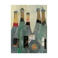 thumbnail image 1 of Trademark Fine Art 'After the Toast II' Canvas Art by Samuel Dixon, 1 of 4