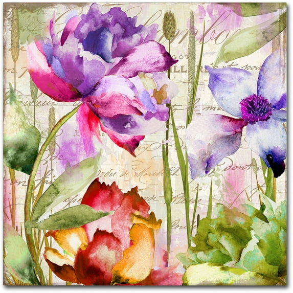 Trademark Fine Art "Afterglow I" Canvas Art by Color Bakery