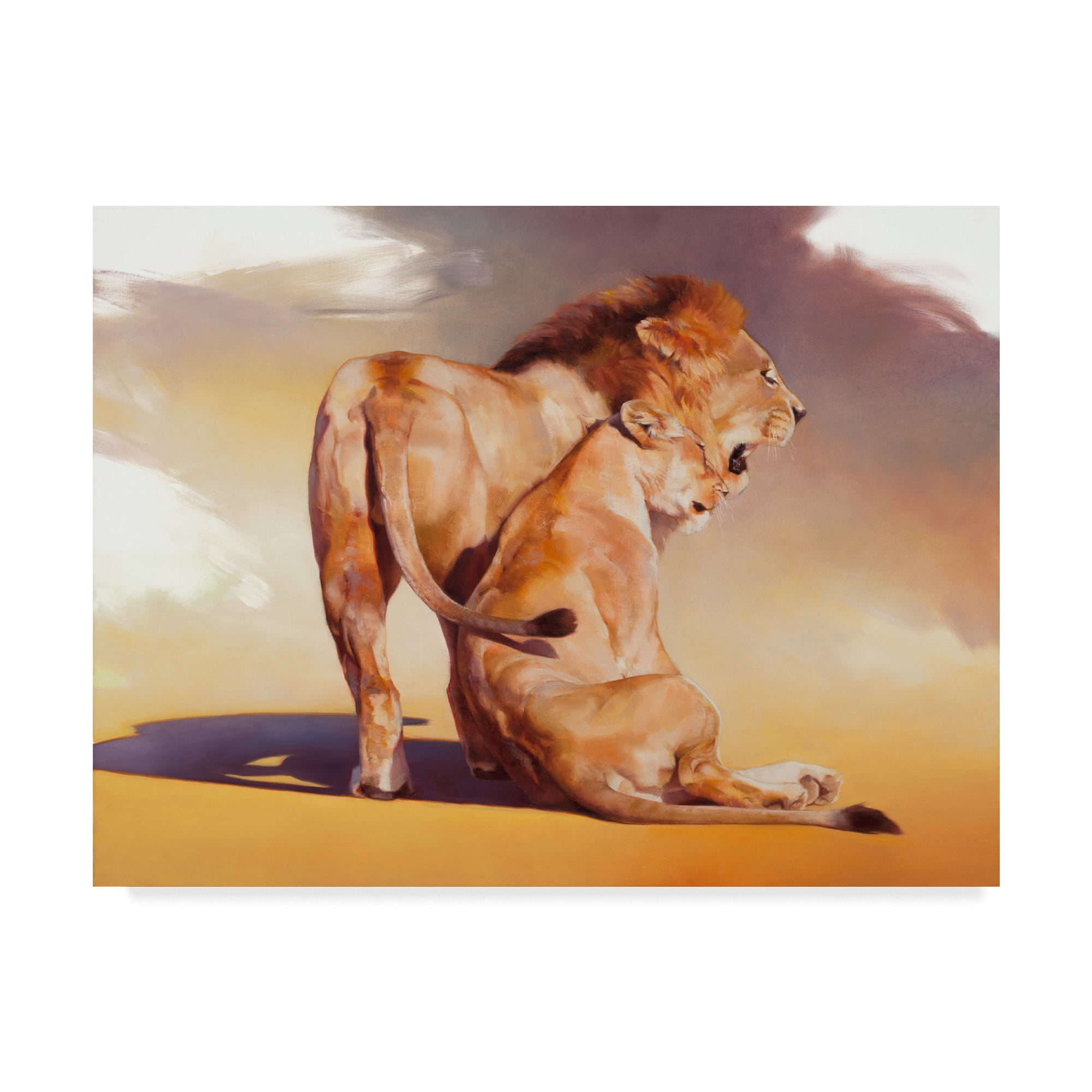 Trademark Fine Art 'Afterglow Lions' Canvas Art by Julie T. Chapman