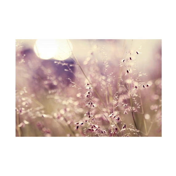 Trademark Fine Art "Afternoon Tales" Canvas Art by Beata Czyzowska Young