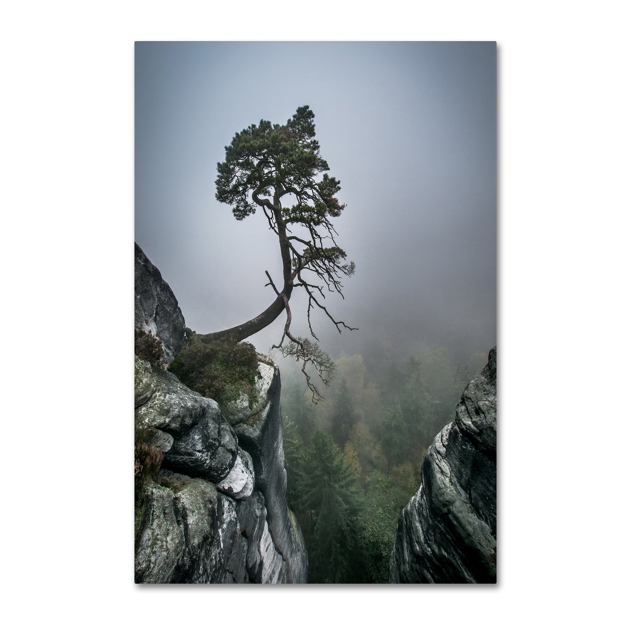 Trademark Fine Art 'Against The Odds' Canvas Art by Andreas Wonisch