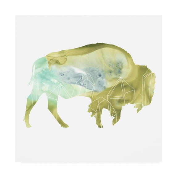 Trademark Fine Art 'Agate Animal III' Canvas Art by June Erica Vess