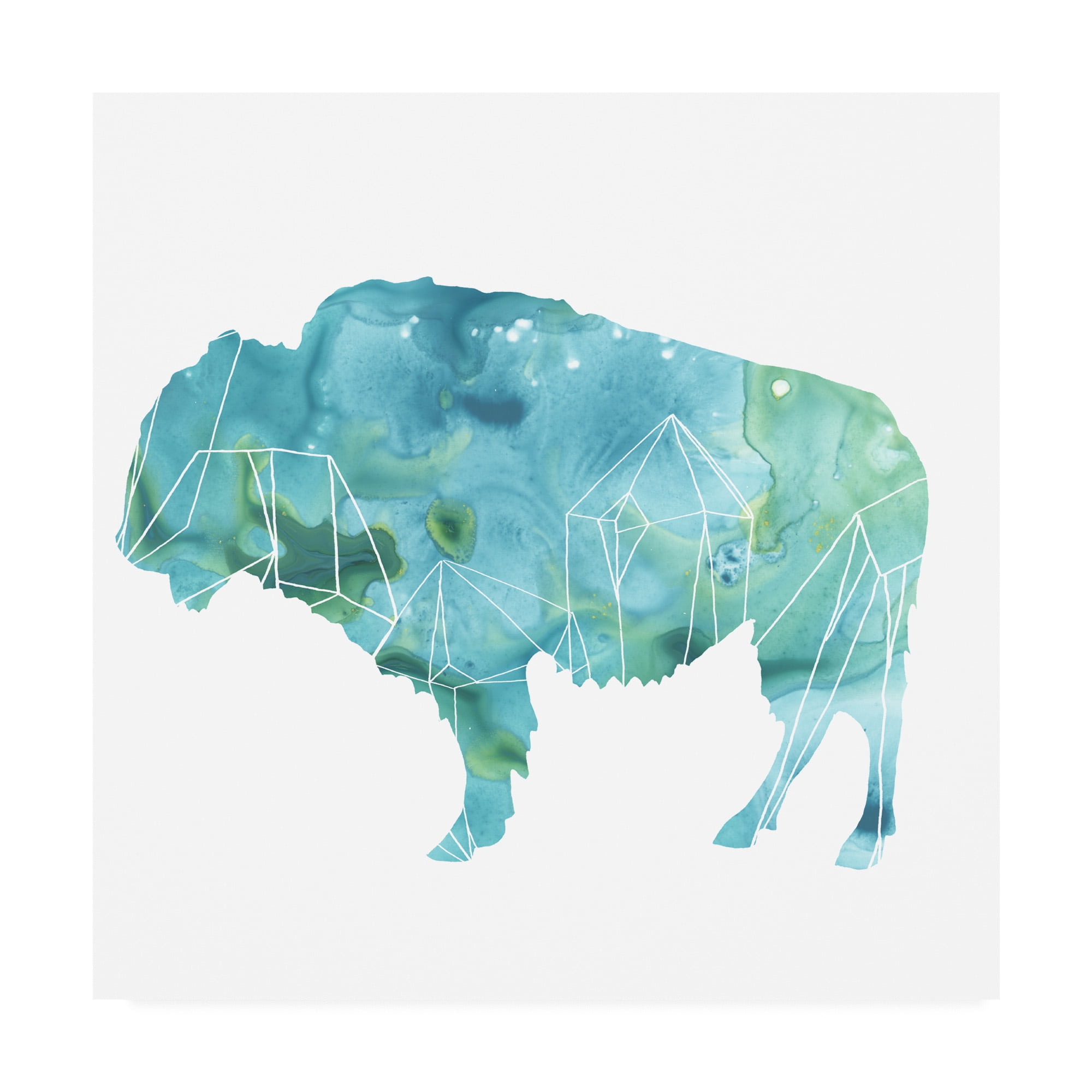 Trademark Fine Art 'Agate Animal IV' Canvas Art by June Erica Vess