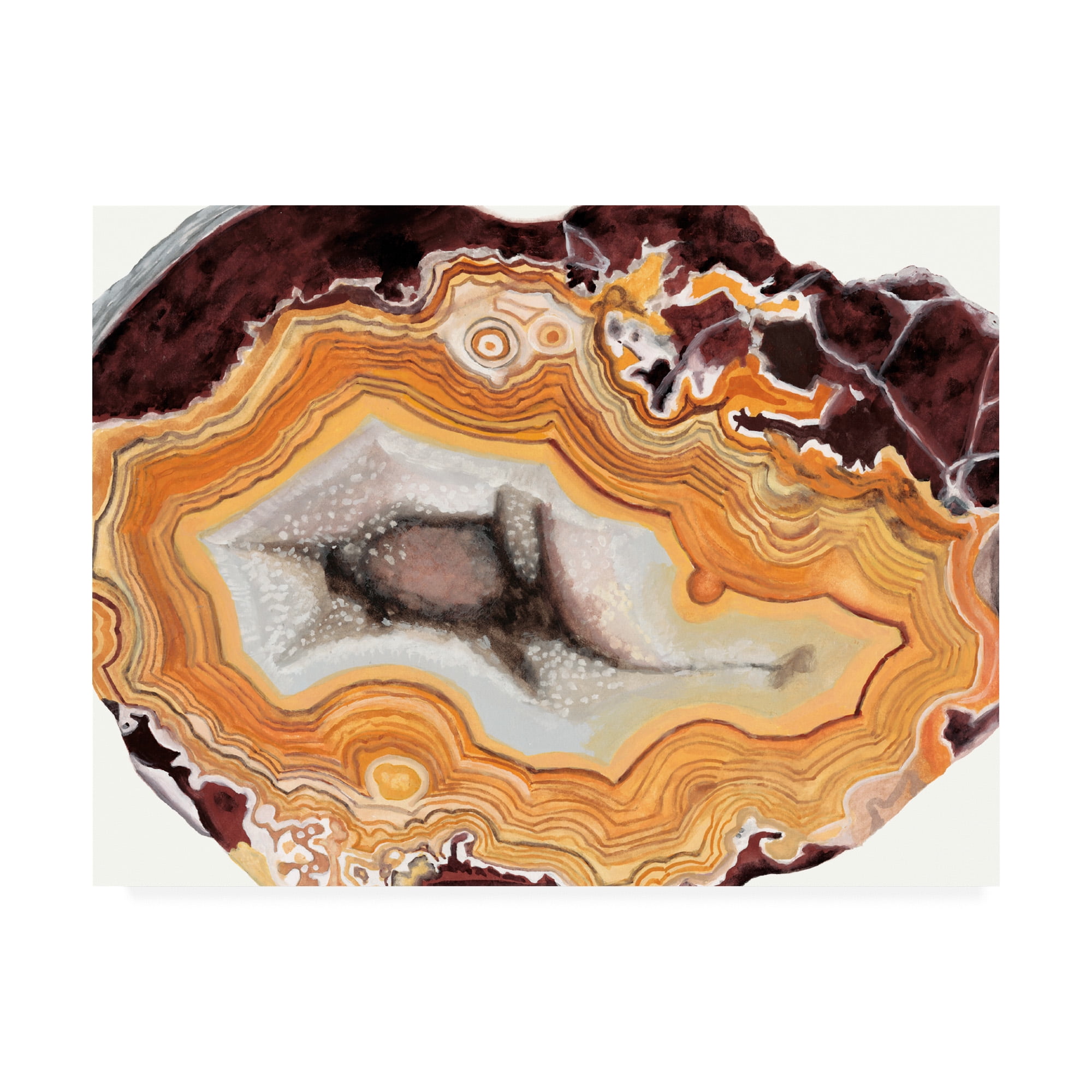 Trademark Fine Art 'Agate Studies III' Canvas Art by Naomi McCavitt