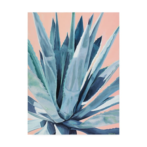 Trademark Fine Art 'Agave with Coral' Canvas Art by Alana Clumec