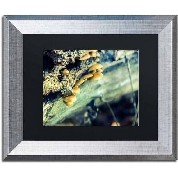 Trademark Fine Art 'Aged Mushroom' Canvas Art by PIPA Fine Art, Black Matte, Black Frame